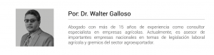 Dr. Walter Galloso