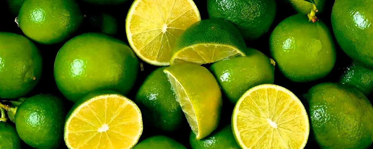 limones peruanos agroexportaciones