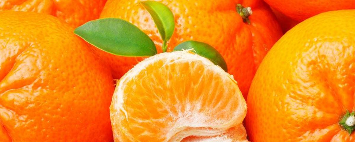 mandarina satsuma perú