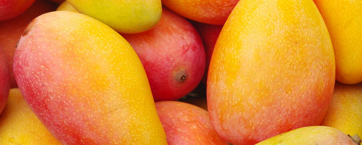 exportaciones de mango peruano