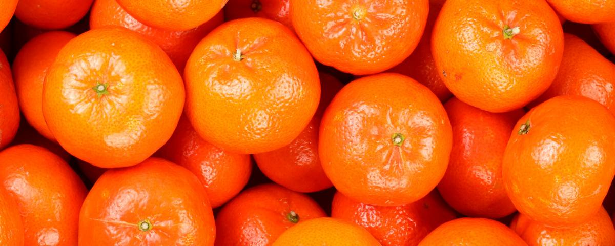 mandarinas satsuma peruanas